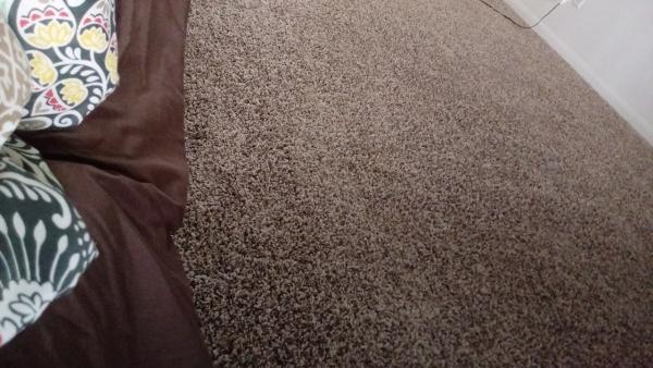 A Affordable Carpet and Upholstery Cleaning