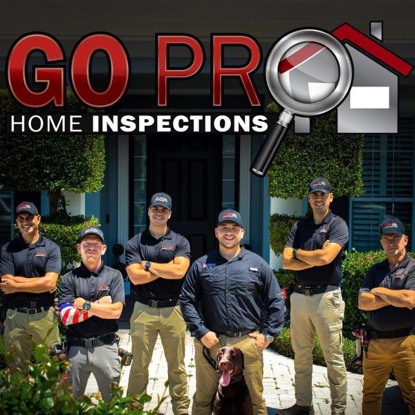 Gopro Home Inspections