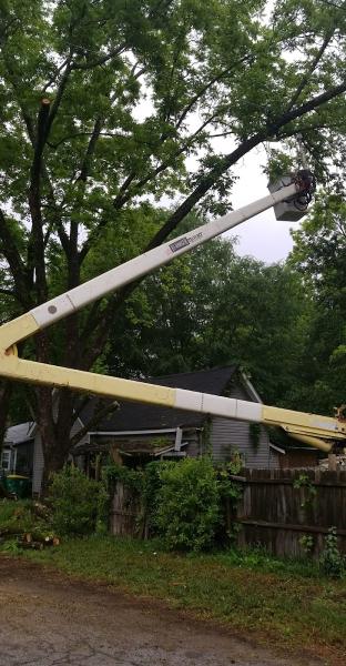D. Parks Tree Service