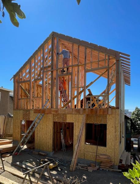 Fig Tree Construction and Remodeling