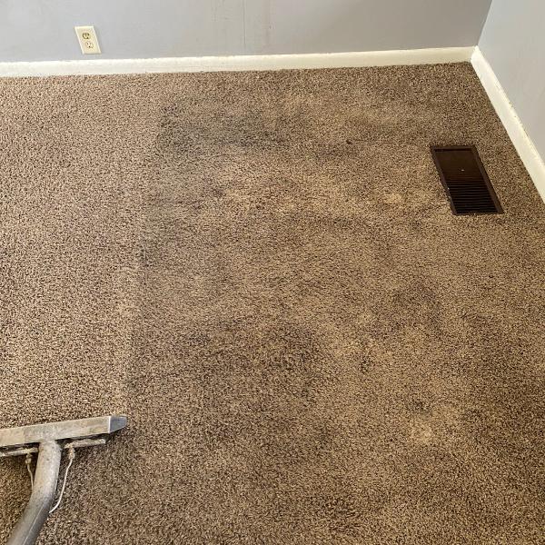 Mark's Carpet Cleaning