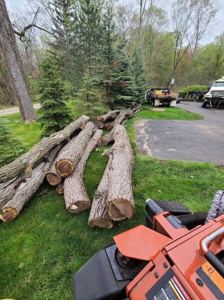 Quinlan Tree Service