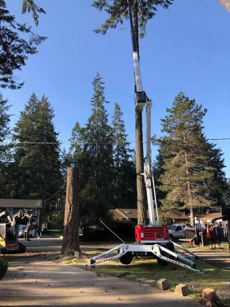 Ranger Tree Experts Inc.
