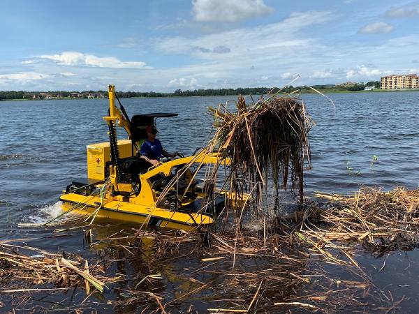 Karina Lakefront Maintenance