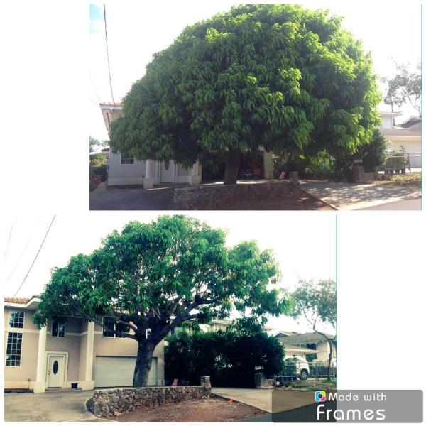 Kendall Landscape Services