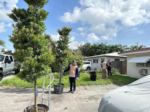 Sunrise Tree Care