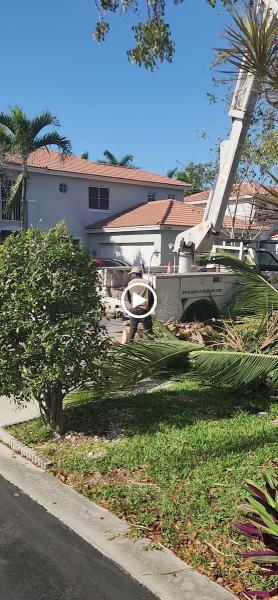 Sunrise Tree Care