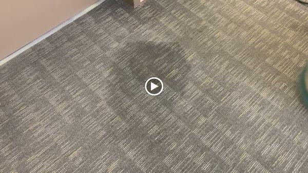 Driganic Carpet Cleaning