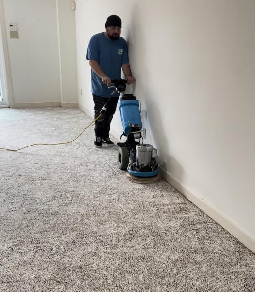 Driganic Carpet Cleaning