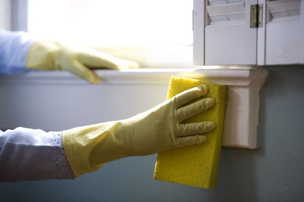 Lily Maids House Cleaning Service
