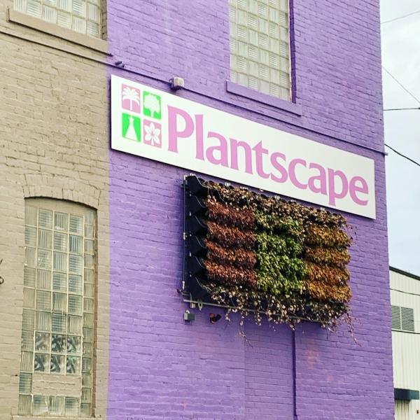 Plantscape