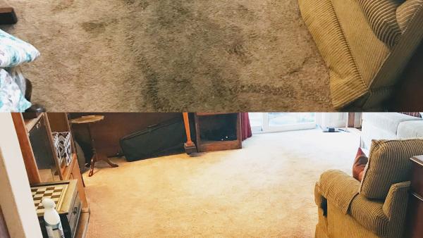 Couch & Carpet Cleaning Doctor Fabric