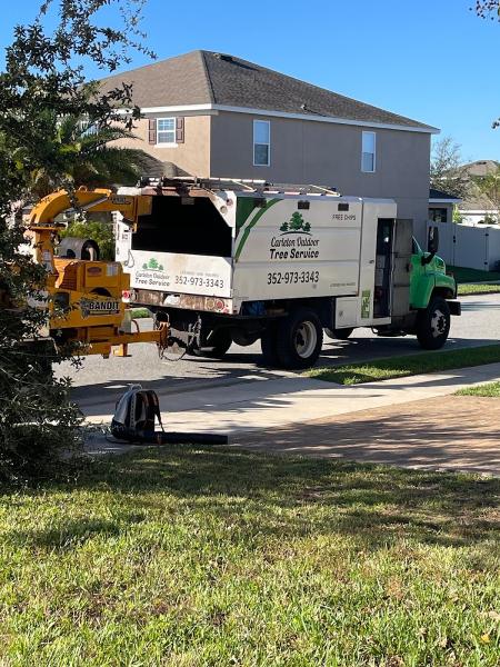 Carleton Outdoor Tree Service