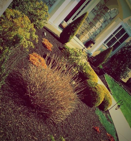 J's Property Maintenance LLC