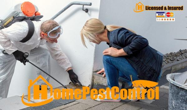 Home Pest Control