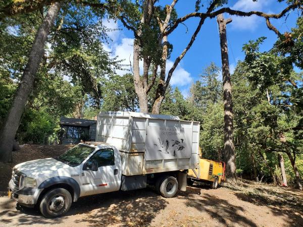Wild Geese Tree Care LLC