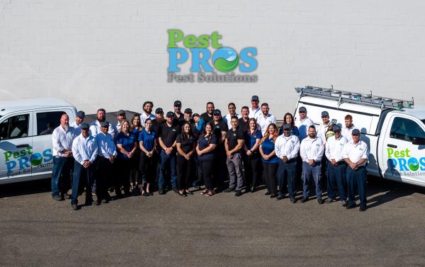 Pest Pros Pest Solutions