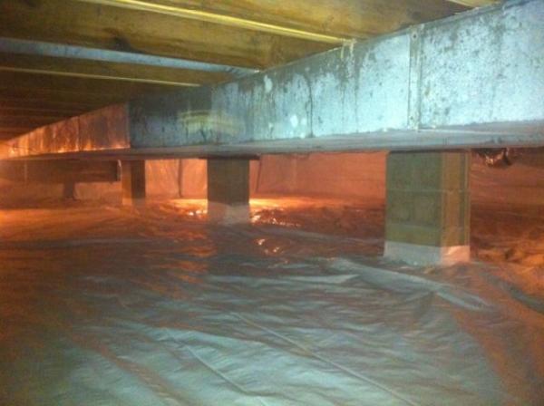 Forte Waterproofing