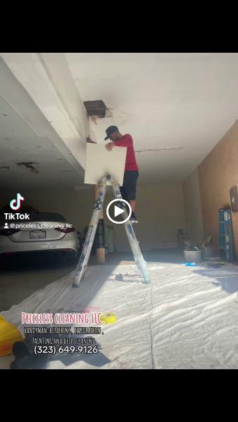 Priceless Cleaning LLC