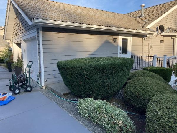 WFJ Lawn Care and Maintenance