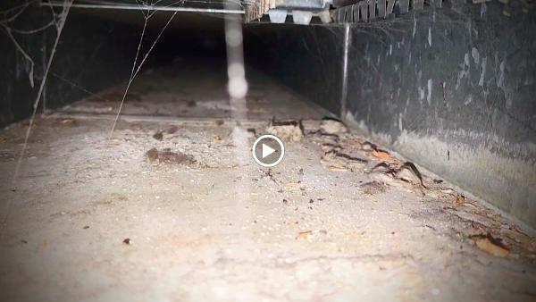 Air Duct Priority & Dryer Vent