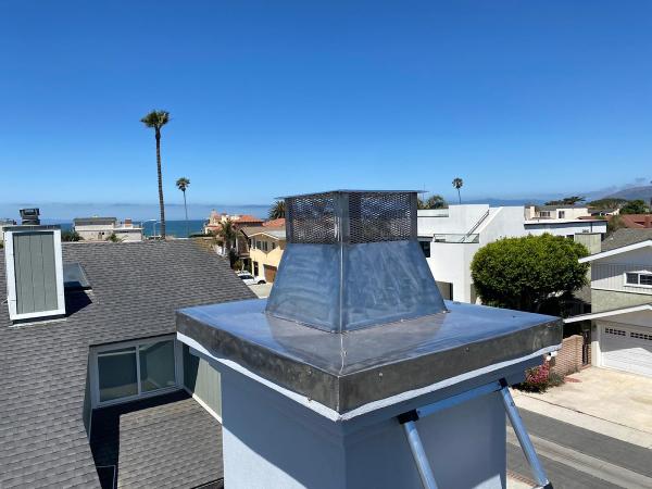 Eco Grizzly Chimney Sweep
