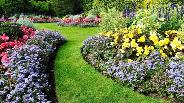 Sam Milazzo & Sons Landscape