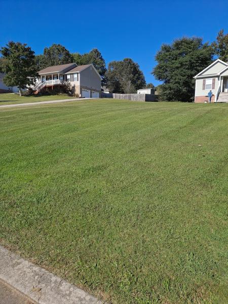 Mullinax Lawn and Landscaping