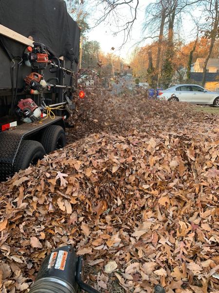 Nando & Sons Landscaping LLC
