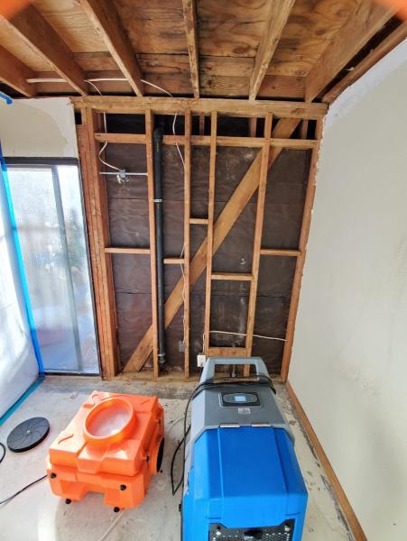 Prime Mold Inspections
