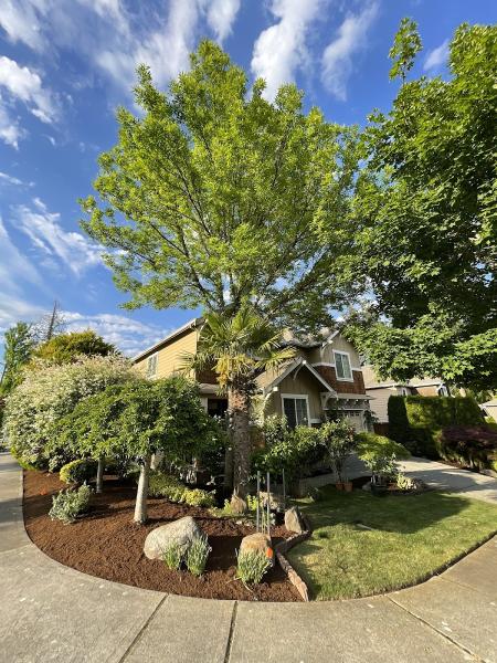 Property Care Northwest LLC