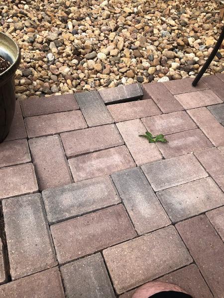 Jr's Landscaping Services