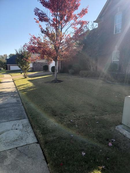 Southaven Lawn Service