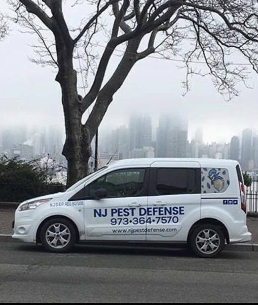 NJ Pest Defense