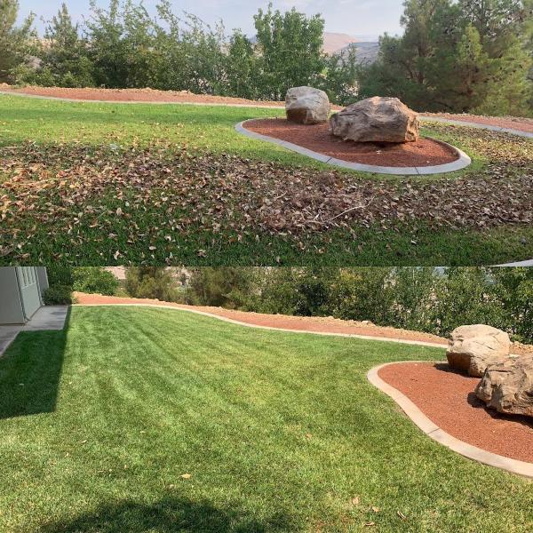 Buzz Cut Landscaping & Maintanace