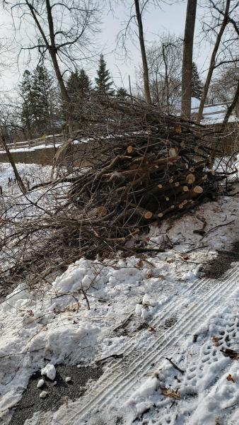 Ed's Buckthorn Control