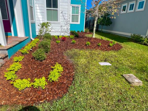 Suntek Lawn Care I Landscaping Company