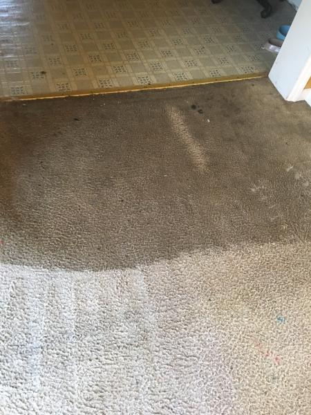 Xteamly Clean Carpet & Upholstery