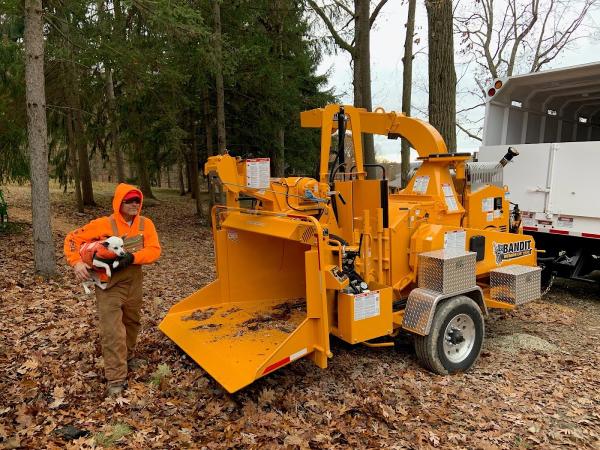 Mills Tree Care LLC