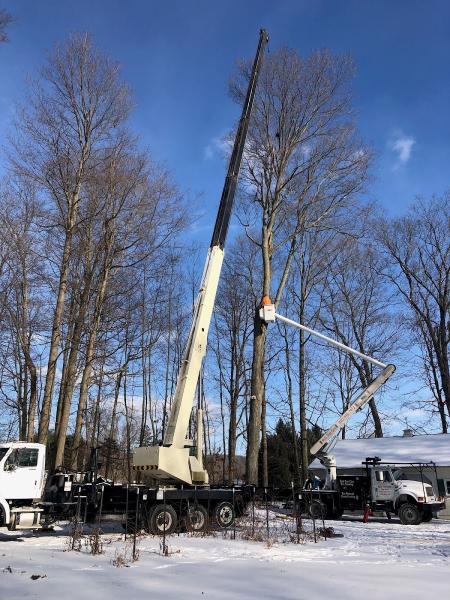 Mills Tree Care LLC