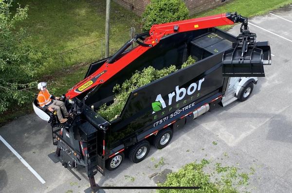 Arbor Experts