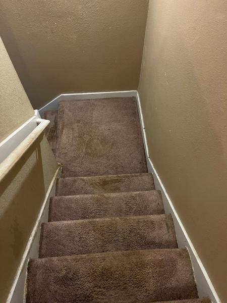 Amber Carpet Cleaning Services