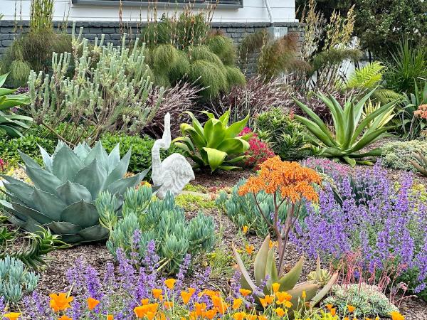 Farallon Gardens
