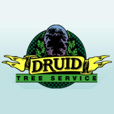 Druid Tree Service