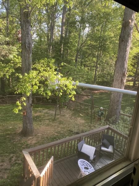 Grove Park Tree Care