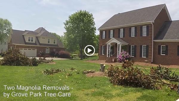 Grove Park Tree Care