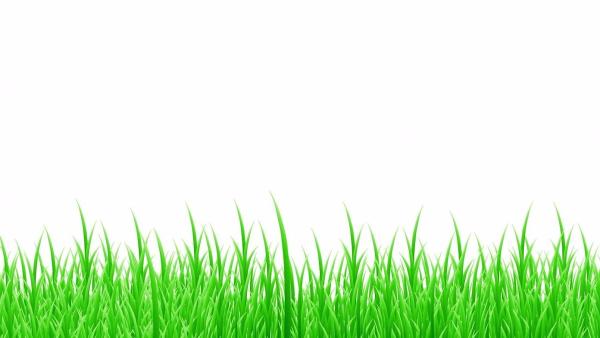 Summit Turf Services LLC