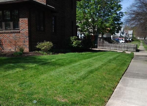 4 Season's Services Lawn Treatments
