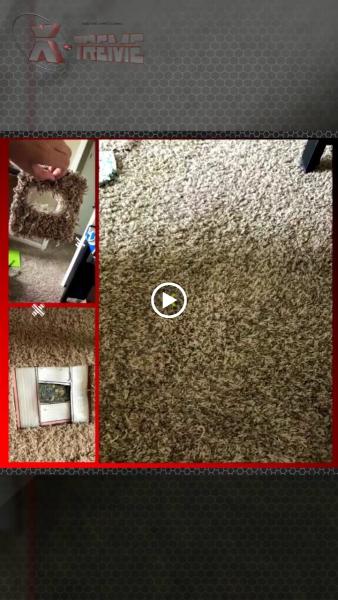 X-Treme Carpet Cleaning Air Duct Cleaning and Carpet Repair