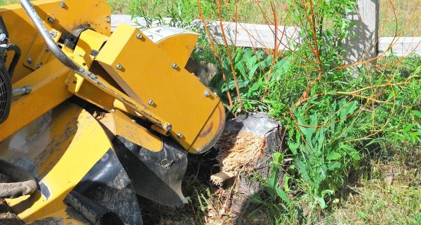 Arbor Rich Tree Service